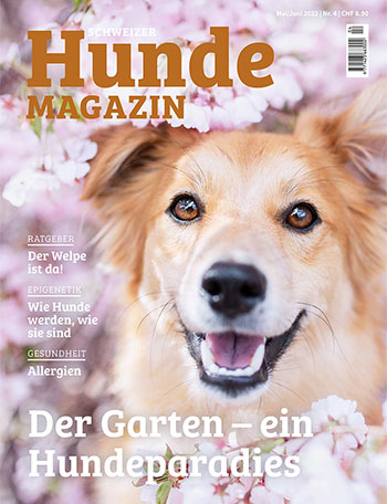 Aktuelle Hundemagazin Ausgabe
